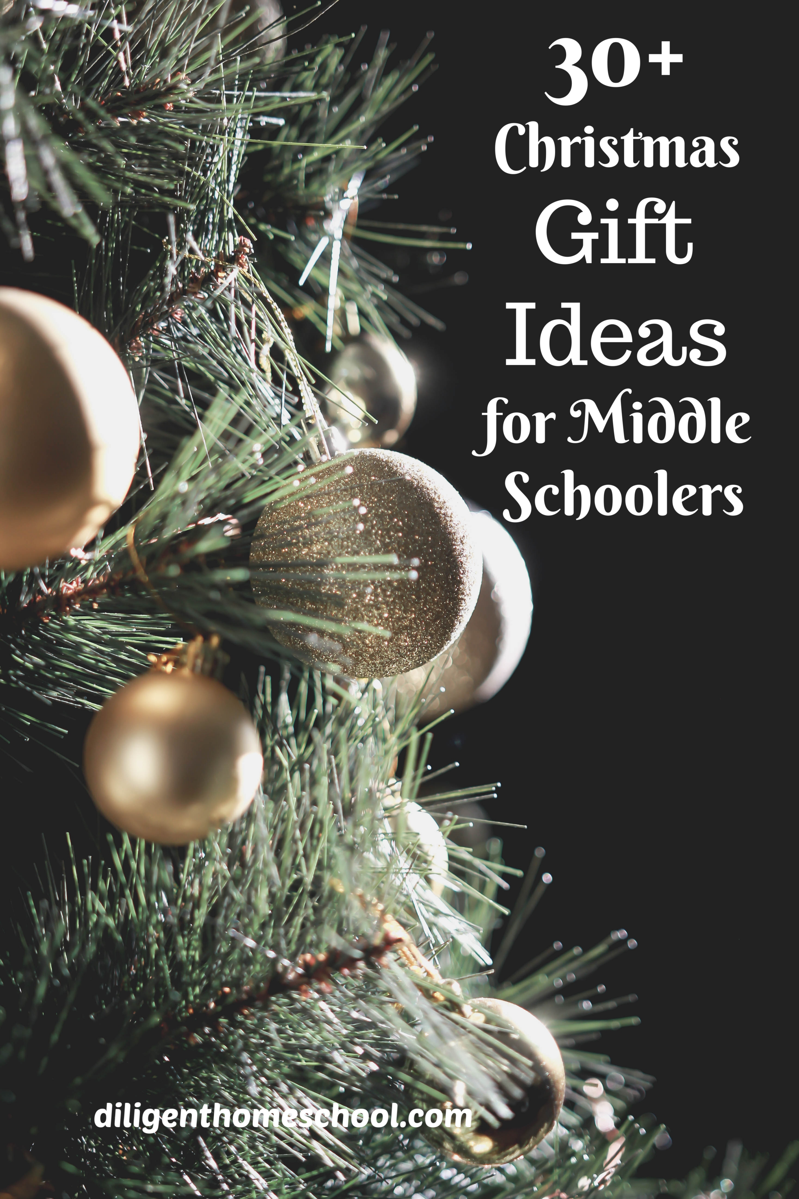 Looking for gift ideas? This list of 30+ Christmas Gift Ideas for Middle Schoolers strikes a balance that will hopefully be just right for your younger teens!